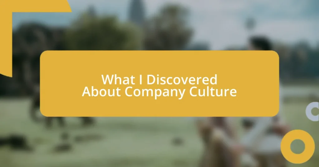 What I Discovered About Company Culture