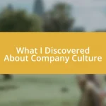 What I Discovered About Company Culture